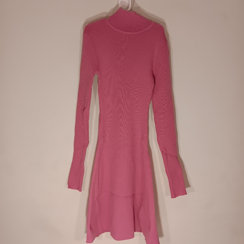 NWOT Women Pink Knit Turtleneck Flared Mini Sweater Dress Size LRG Unbranded